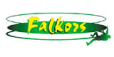 Construction and repairs - FALKORS BUILDING INDUSTRY SIA